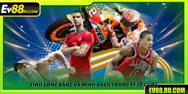 Đảm bảo công bằng và minh bạch 