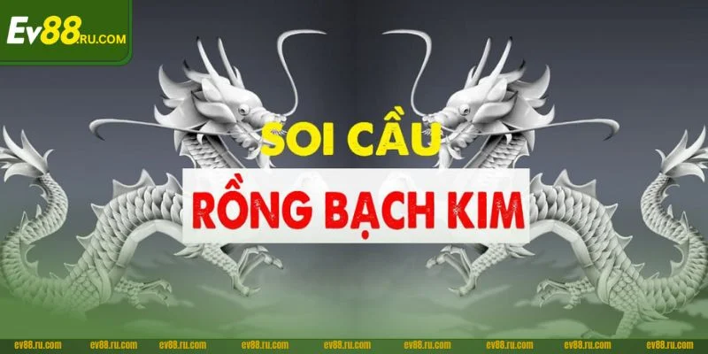 Cầu Rồng bạch kim có nhiều phương pháp soi khôn ngoan.
