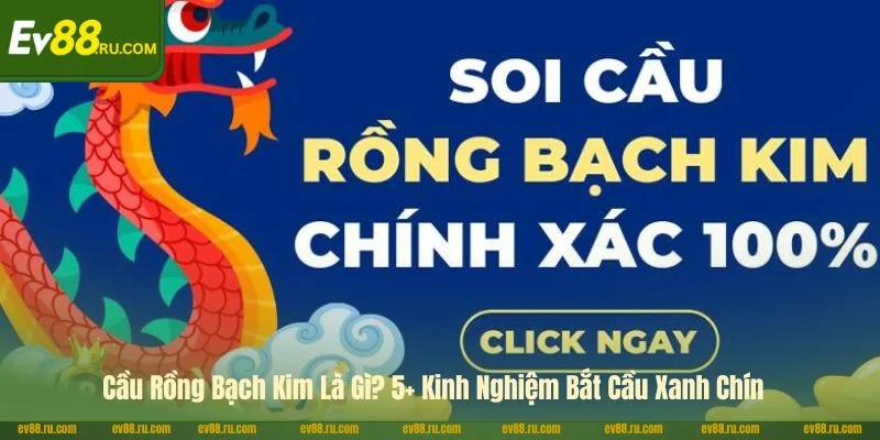 Cầu Rồng Bạch Kim Là Gì? 5+ Kinh Nghiệm Bắt Cầu Xanh Chín
