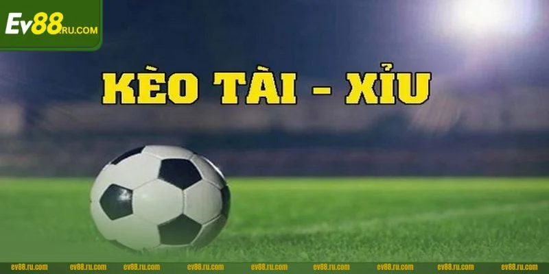 Tài xỉu là kèo chơi cá độ được yêu thích hàng đầu tại nhà cái EV88.